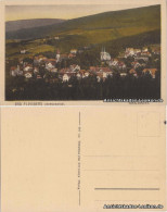 Bad Flinsberg Świeradów-Zdrój Totalansich (colorierte AK) 1924 - Schlesien