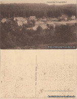 Ansichtskarte Zwiesel-Bad Gottleuba-Berggießhübel Panorama 1917 - Bad Gottleuba-Berggiesshübel