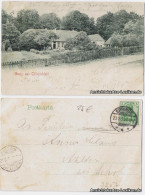 Ansichtskarte Köllnischfeld-Springe Panorama 1904 - Springe