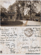 Ansichtskarte Reichenbach (Vogtland) Partie Im Stadtpark 1918 - Reichenbach I. Vogtl.