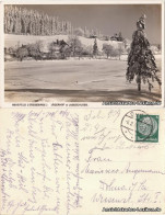 Rehefeld-Altenberg (Erzgebirge) Jägerhof Und Jagdschloss - Foto AK 1934 - Rehefeld