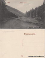 Ansichtskarte Hahnenklee-Bockswiese-Goslar Partie Im Garnetal 1911 - Goslar