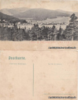 Ansichtskarte Tabarz/Thüringer Wald Totalansicht 1905 - Tabarz