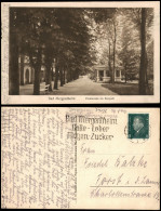 Ansichtskarte Bad Mergentheim Promenade Im Kurpark 1929 - Bad Mergentheim