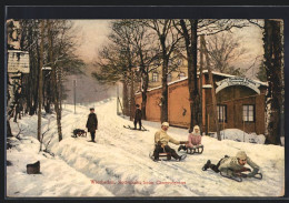 AK Wiesbaden, Schlittenfahrer Auf Der Rodelbahn Beim Chausséehaus  - Wiesbaden