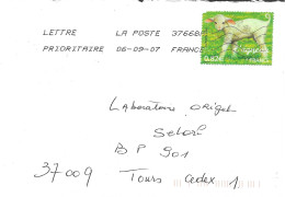 TIMBRE N° 3900   -   L'AGNEAU    -  AU TARIF DU 1 3 05 AU 30 9 06 -  2E ECHELON  - SEUL SUR LETTRE- 2007 - Tarifs Postaux