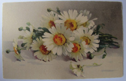 FLEURS - Marguerites - Fleurs