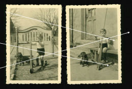 2x Orig. Foto 30er Jahre Süßer Junge Mit Roller Und Hund, Sweet Boy With Scooter And Little Dog - Personnes Anonymes