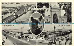 R629244 Good Luck From Brighton. The Promenade. C. Richter. 1953. Multi View - World