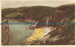 R628625 Babbacombe. Redgate Beach From Walls Hill - World