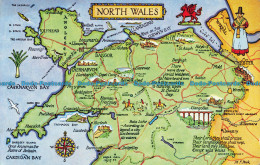 R629261 North Wales. J. Salmon - World