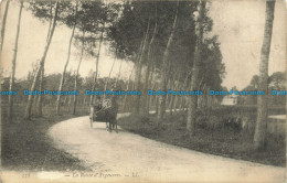 R629681 La Route D Argeuvres. LL 178 - Monde