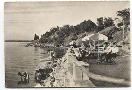 X117849 HERAULT BALARUC LES BAINS LA PLAGE EDEN ROMAIN - Andere & Zonder Classificatie