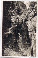 Almbachklamm-Marktschellenberg Schellenberg Markt Die Almbachklamm. Foto AK 1930 - Otros & Sin Clasificación