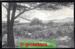 BERGEN Duinlandschap Tussen Bergen En Schoorl 1912 - Other & Unclassified