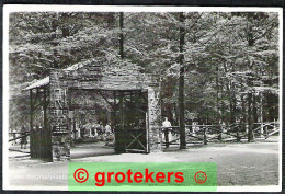 RHENEN Militaire Begraafplaats Grebbeberg Ca 1955 ? - Rhenen