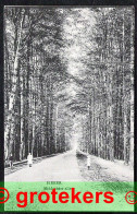 DIEREN Middachterallee Ca 1910 - Altri & Non Classificati