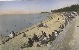 X117822 CHARENTE MARITIME ILE DE RE LA FLOTTE LA PLAGE CARTE COLORISEE - Ile De Ré