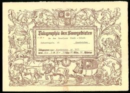 Telegramm Des Saargebietes, 1935, Brautpaar Noack-Wobedo, Saarbrücken, Hochzeitskutsche  - Unclassified