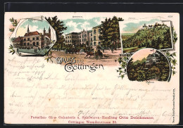 Lithographie Göttingen, Rathaus, Auditorium, Plesse Und Rohns  - Goettingen