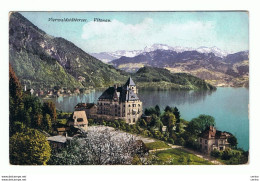 SUISSE - VITZNAU:  VIERWALDSTATTERSEE  -  PARK-HOTEL  -  NACH  OSTERREICH  -  PHOTO  -  KLEINFORMAT - Hotels & Gaststätten