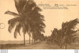 CONGO BELGE AVENUE DE COCOTIERS LE LONG DE L'OCEAN - Congo Belge