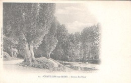 X4185 COTE D' OR CHATILLON SUR SEINE SOURCE DES DUCS - Chatillon Sur Seine