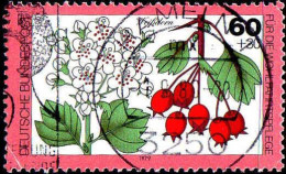 RFA Poste Obl Yv: 872 Mi:1026 Für Die Wohlfahrtsplege Weissdorn (TB Cachet Rond) - Used Stamps