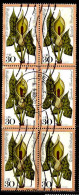 RFA Poste Obl Yv: 829 Mi:982 Wohlfahrtsmarke Aronstab Bloc De 6 (TB Cachet Rond) - Used Stamps