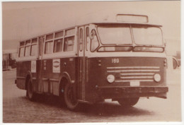 BROSSEL Autobus 169 - (België/Belgique) - Auto's