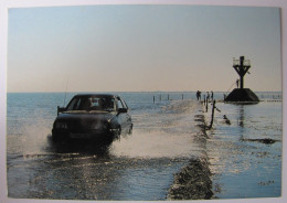 FRANCE - VENDEE - ILE DE NOIRMOUTIER - Le Passage Du Gois - Ile De Noirmoutier