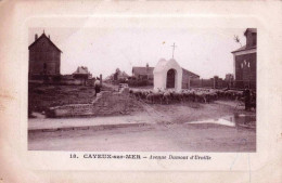 80 - Somme -  CAYEUX Sur MER - Avenue Dumont D'Urville - Cayeux Sur Mer