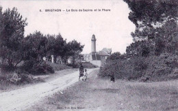 80 - Somme -   BRIGHTON PLAGE (Cayeux Sur Mer )  Le Bois De Sapins Et Le Phare - Cayeux Sur Mer