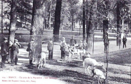 54 - Meurthe Et Moselle -  NANCY  -  Un Coin De La Pépiniere - Les Animaux - Nancy