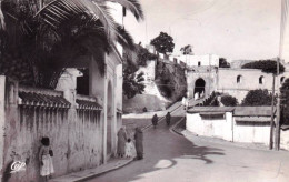 Maroc - TANGER -  L'entrée De La Casbah - Tanger