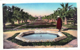 Maroc -  CASABLANCA - Parc Lyautey - Une Allée - Casablanca