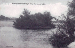 49 - Maine Et Loire -  SAINT JEAN De La CROIX - Paysage Sur La Loire - Autres & Non Classés