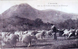 63 - Puy De Dome -   PUY De DOME  - Les Moutons Au Paturage - Other & Unclassified