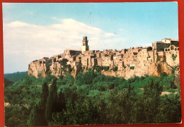PITIGLIANO (GR) Scorcio Panoramico - 1985 - (c851) - Grosseto