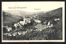 AK Schlangenbad, Totalansicht  - Schlangenbad