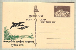 Nepal, Bird, Birds, Postal Stationery, Pre-Stamped Post Card, 1v, MNH** - Anatre