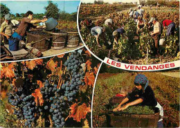 Vignes - Les Vendanges - Multivues - Vendanges - Raisins - Vin - CPM - Voir Scans Recto-Verso - Vignes