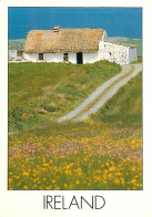 Irlande - A Typical Irish Cottage - Ireland - CPM - Voir Scans Recto-Verso - Otros