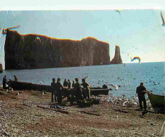 Canada - Pecheurs Préparant Leurs Prises De Morues Sur La Plage Parmi Les Goélands - CPM - Voir Scans Recto-Verso - Unclassified