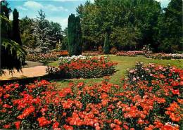 45 - Orléans - Parc Floral De La Source - Un Champ De Roses - Fleurs - Carte Neuve - CPM - Voir Scans Recto-Verso - Orleans