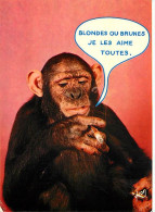 Animaux - Singes - Chimpanzé - Carte à Message - Collection Singeries - Carte Humoristique - Carte Neuve - CPM - Voir Sc - Monkeys