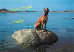 Animaux - Chiens - Boxer - Carte Humoristique - Carte Neuve - CPM - Voir Scans Recto-Verso - Dogs