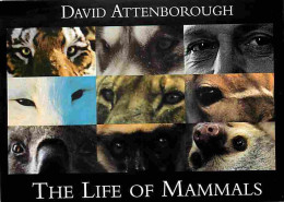 Animaux - David Attenborough - The Life Of Mammals - Tigre - Koala - Multivues - CPM - Voir Scans Recto-Verso - Altri & Non Classificati