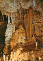 34 - Hérault - Grotte De Clamouse - La Salle Des Echos - Coulée Stalagmitique - Spéléologie - CPM - Voir Scans Recto-Ver - Andere & Zonder Classificatie