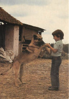 Chiens - CPM - Voir Scans Recto-Verso - Honden